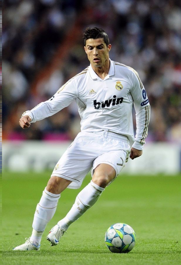 中荣耀的象 中荣耀的象