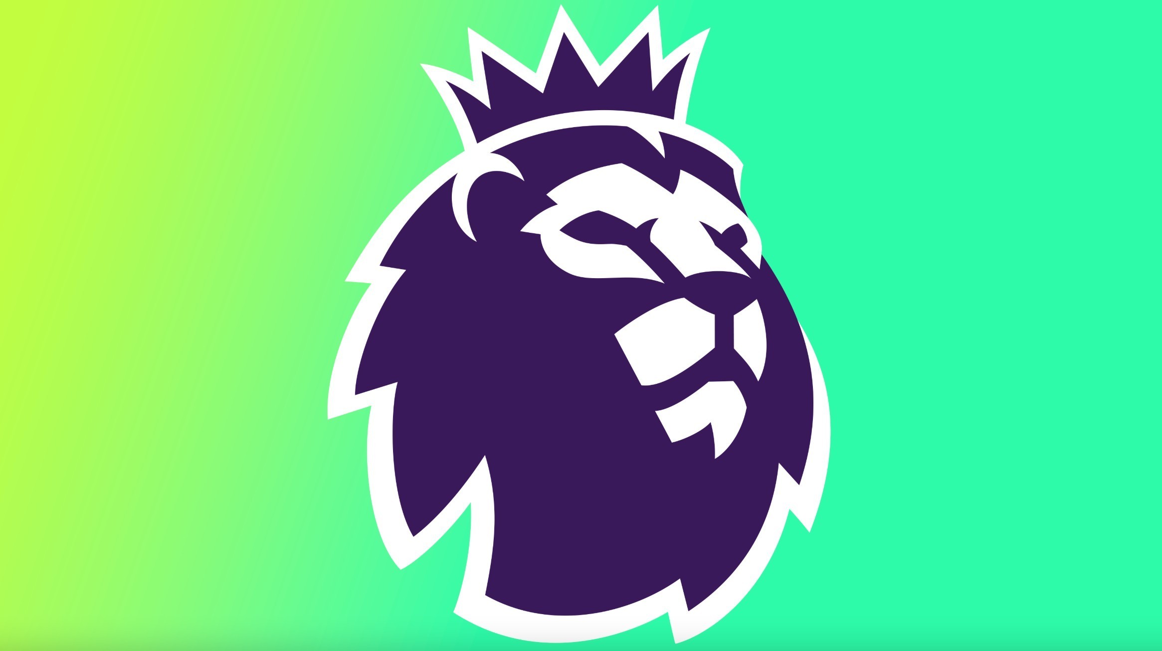 队或年轻车 队或年轻车