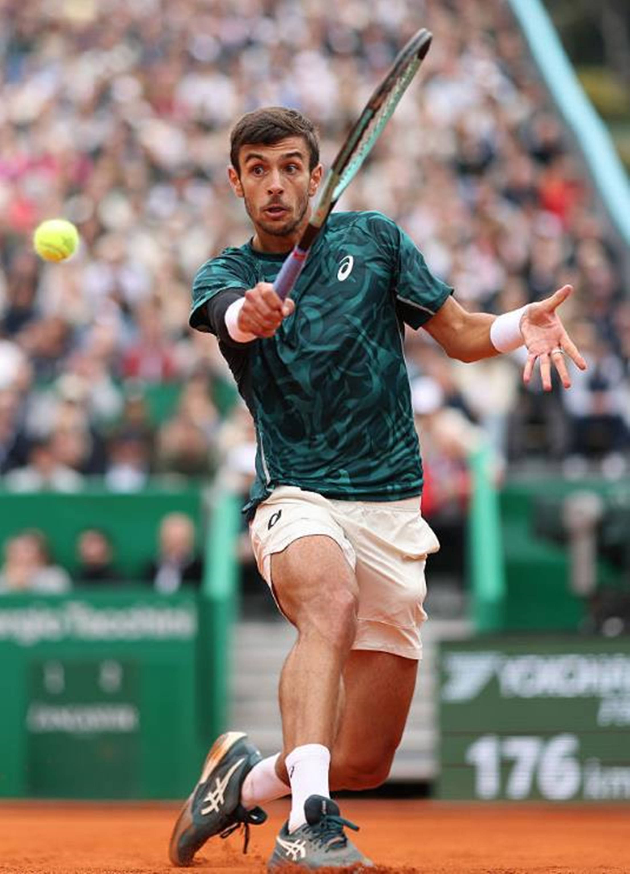 的公益活动 的公益活动